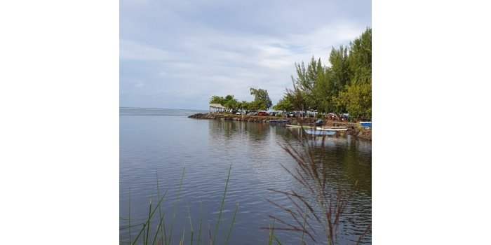 La baignade au Grimnitzsee
