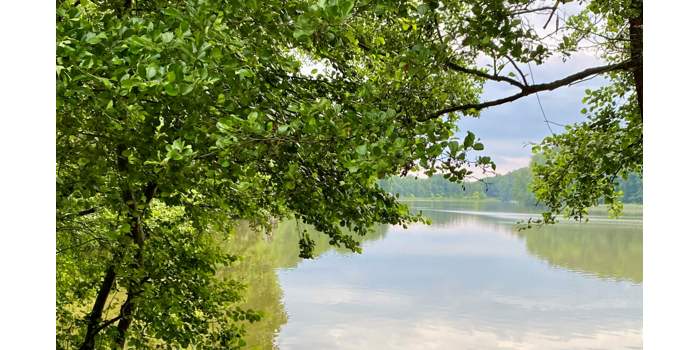 Vélorando - Le Uckermark… Oh que oui !