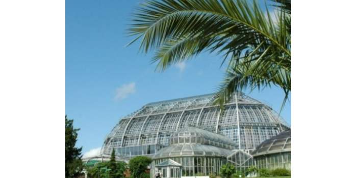 Découvrir Berlin : le jardin botanique