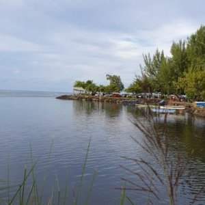 La baignade au Grimnitzsee