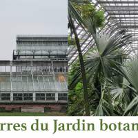 Atelier-photo - Les serres du jardin botanique