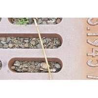 Visites culturelles : "Mahnmal Gleis 17"