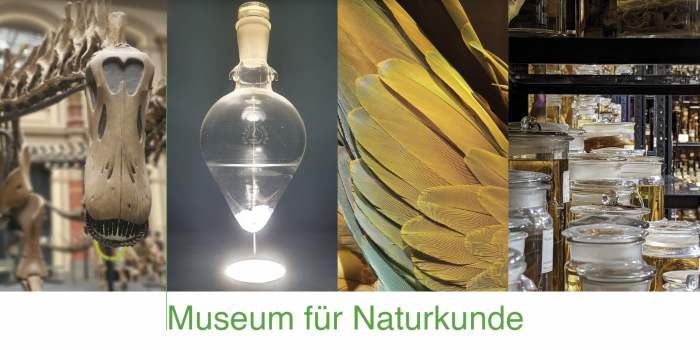 Museum für Naturkunde/ Musée d'histoire naturelle