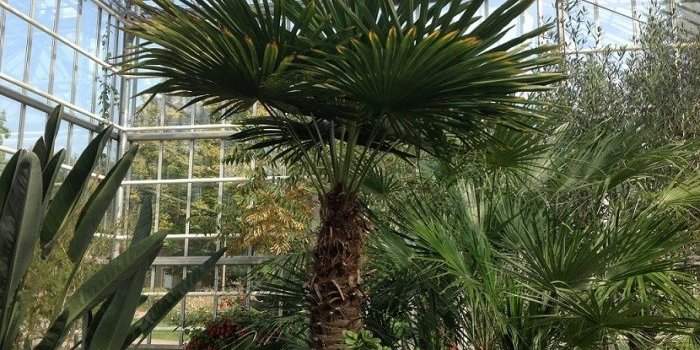 Balade à pied : DU S-BAHN WAIDMANNLUST AU BOTANISCHEN VOLKSPARK BLANKEFELDE PANKOW